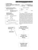 Method for Mass Candidate Detection and Segmentation in Digital Mammograms diagram and image