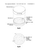 APPARATUS AND SYSTEMS FOR COUNTING CORN SILKS OR OTHER PLURAL ELONGATED STRANDS AND USE OF THE COUNT FOR CHARACTERIZING THE STRANDS OR THEIR ORIGIN diagram and image