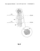 APPARATUS AND SYSTEMS FOR COUNTING CORN SILKS OR OTHER PLURAL ELONGATED STRANDS AND USE OF THE COUNT FOR CHARACTERIZING THE STRANDS OR THEIR ORIGIN diagram and image