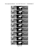 Automatic Video Image Segmentation diagram and image