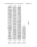 AAV CAPSID LIBRARY AND AAV CAPSID PROTEINS diagram and image