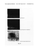 PERYLENEQUINONE DERIVATIVES AND USES THEREOF diagram and image