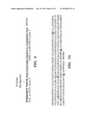 TARGETED SPLIT BIOMOLECULAR CONJUGATES FOR THE TREATMENT OF DISEASES, MALIGNANCIES AND DISORDERS, AND METHODS OF THEIR PRODUCTION diagram and image