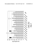 Methods and Compositions for Treatment of Bone Defects with Placental Cell Populations diagram and image