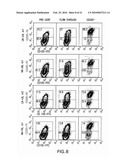 Methods and Compositions for Treatment of Bone Defects with Placental Cell Populations diagram and image