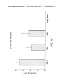 Methods and Compositions for Treatment of Bone Defects with Placental Cell Populations diagram and image