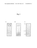 Nucleic acids and polypeptides of C1 bacteriophage and uses thereof diagram and image