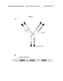 PREVENTION OF AGGREGATION OF IMMUNOGLOBULIN LIGHT OR HEAVY CHAINS diagram and image