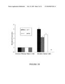 Metastasis specific splice variants of mena and uses thereof in diagnosis, prognosis and treatment of tumors diagram and image