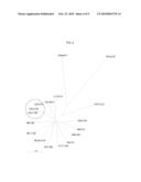 Human Rotavirus and Vaccine Composition Comprising Same diagram and image