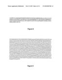 VARIANTS OF HEPATITIS B VIRUS WITH RESISTANCE TO ANTI-VIRAL NUCLEOSIDE AGENTS AND APPLICATIONS THEREOF diagram and image