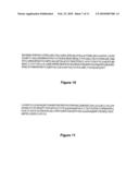 VARIANTS OF HEPATITIS B VIRUS WITH RESISTANCE TO ANTI-VIRAL NUCLEOSIDE AGENTS AND APPLICATIONS THEREOF diagram and image