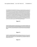 VARIANTS OF HEPATITIS B VIRUS WITH RESISTANCE TO ANTI-VIRAL NUCLEOSIDE AGENTS AND APPLICATIONS THEREOF diagram and image