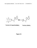 VARIANTS OF HEPATITIS B VIRUS WITH RESISTANCE TO ANTI-VIRAL NUCLEOSIDE AGENTS AND APPLICATIONS THEREOF diagram and image