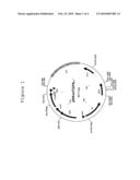 FRANCISELLA STRAIN FOR LIVE VACCINE diagram and image