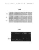 Production methods of virus inactivated and cell-free body implant diagram and image