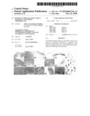 REPAIR OF CARTILAGE TISSUE USING A MATRIX GEL CONTAINING CHONDROCYTES diagram and image