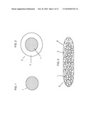 MULTIPARTICULATE FORMULATION HAVING TRAMADOL IN IMMEDIATE AND CONTROLLED RELEASE FORM diagram and image