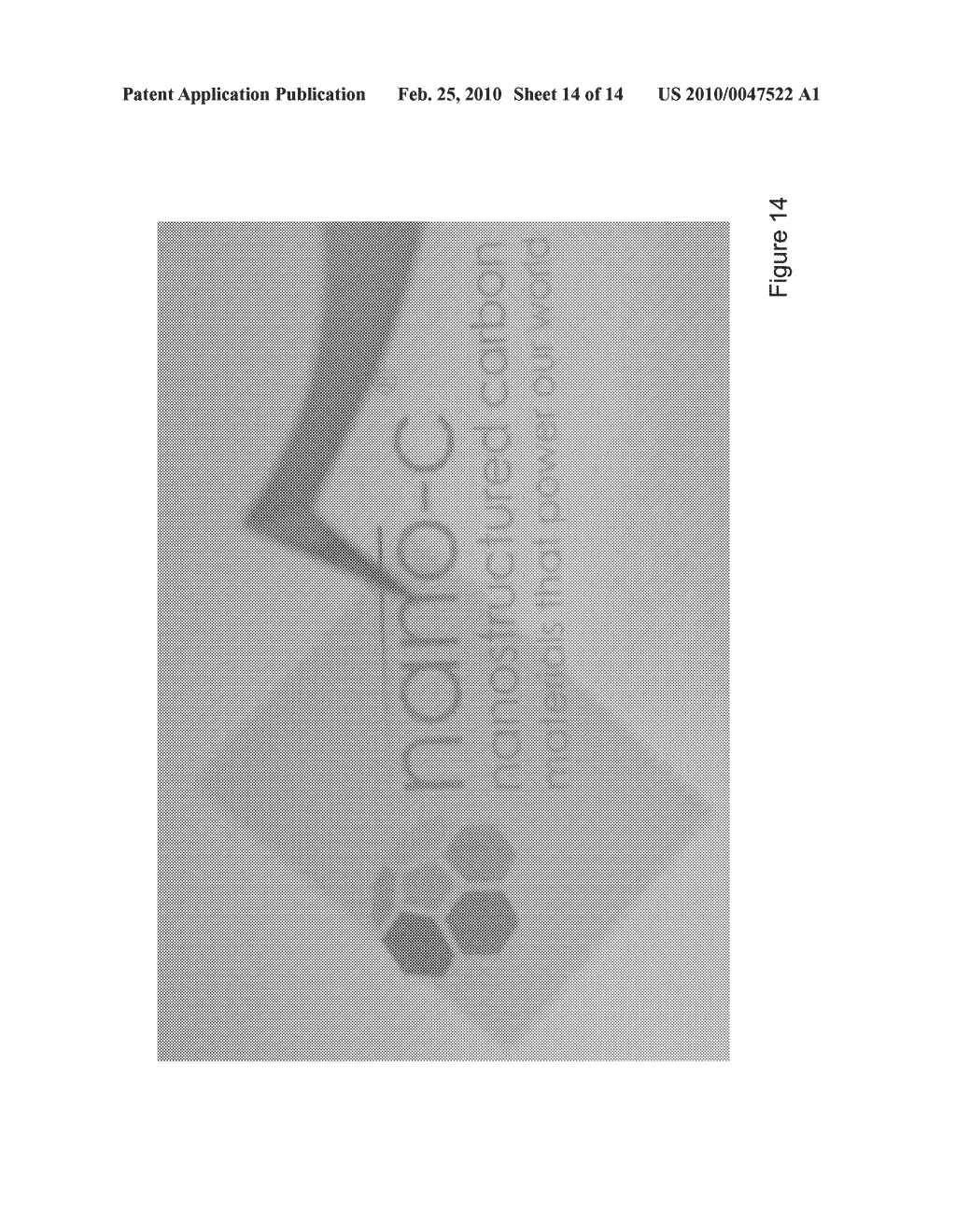 CARBON NANOTUBE-TRANSPARENT CONDUCTIVE INORGANIC NANOPARTICLES HYBRID THIN FILMS FOR TRANSPARENT CONDUCTIVE APPLICATIONS - diagram, schematic, and image 15