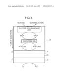 ENZYME-IMMOBILIZED ELECTRODE, FUEL CELL, ELECTRONIC DEVICE, APPARTUS UTILIZING ENZYME REACTION, AND ENZYME-IMMOBILIZED SUBSTRATE diagram and image