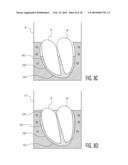 ANATOMICALLY AND FUNCTIONALLY ACCURATE SOFT TISSUE PHANTOMS AND METHOD FOR GENERATING SAME diagram and image