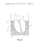 ANATOMICALLY AND FUNCTIONALLY ACCURATE SOFT TISSUE PHANTOMS AND METHOD FOR GENERATING SAME diagram and image