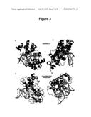 MOLECULAR ACCESSIBILITY ASSAY diagram and image