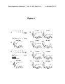 MOLECULAR ACCESSIBILITY ASSAY diagram and image