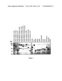 Polypeptides diagram and image