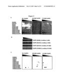 Polypeptides diagram and image