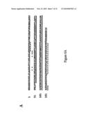 Polypeptides diagram and image