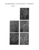 ACTIVATED HER3 AS A MARKER FOR PREDICTING THERAPEUTIC EFFICACY diagram and image