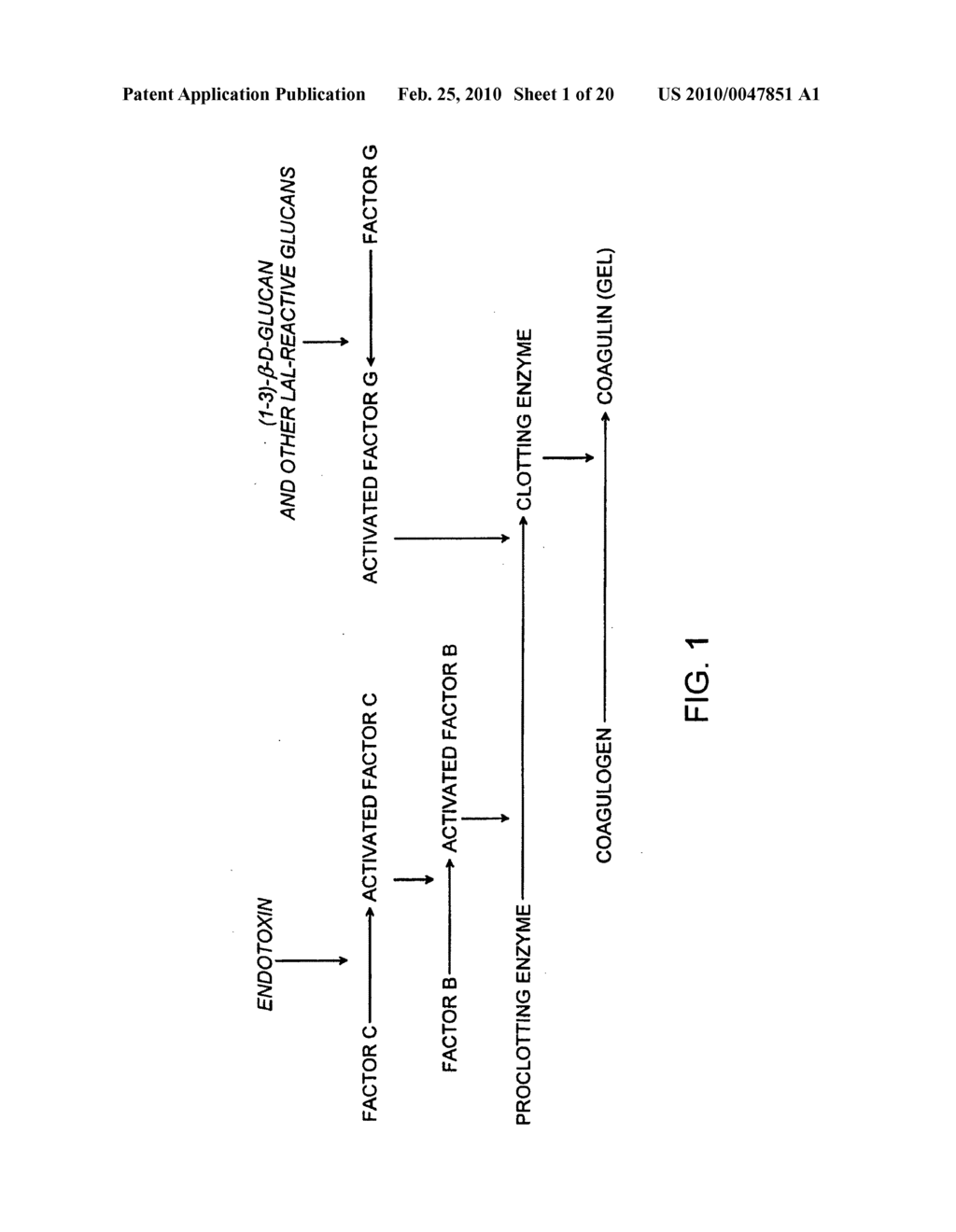 Methods and compositions for the detection of microbial contaminants - diagram, schematic, and image 02