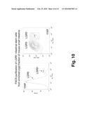 Ex Vivo Culture, Proliferation and Expansion of Intestinal Epithelium diagram and image