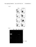 METHOD FOR DETECTION OF HUMAN PRECURSOR T CELL AND PRECURSOR B CELL diagram and image
