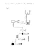 METHOD FOR DETECTION OF HUMAN PRECURSOR T CELL AND PRECURSOR B CELL diagram and image