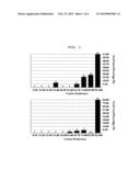 VECTOR FOR EXPRESSING NC PROTEIN OF HIV AND METHOD FOR PRODUCING NC PROTEIN USING THE SAME diagram and image