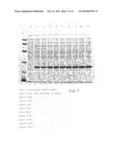 LOW CELL DENSITY FERMENTATION PROCESS FOR THE PRODUCTION OF HETEROLOGOUS RECOMBINANT PROTEINS IN MICROORGANISMS diagram and image