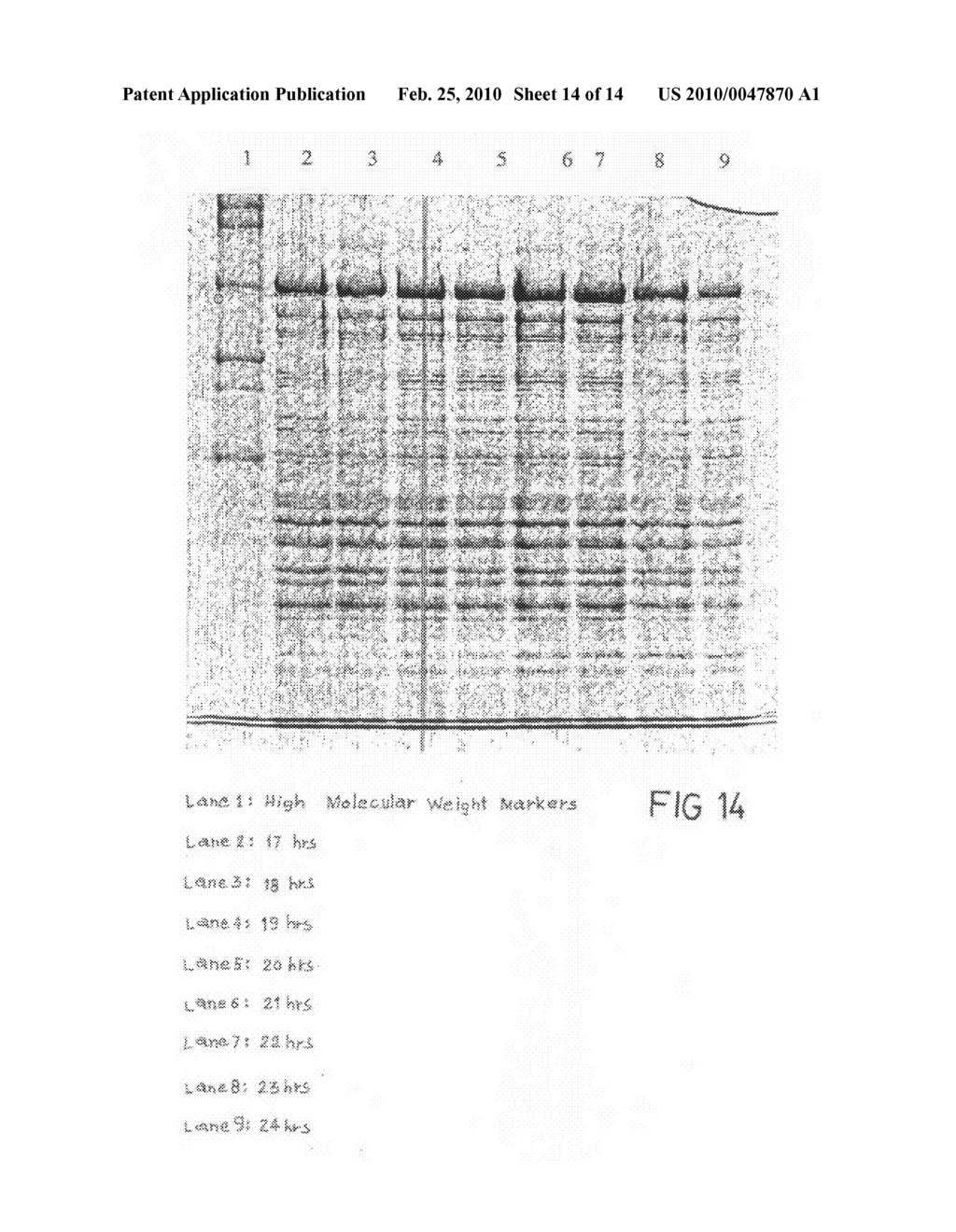 LOW CELL DENSITY FERMENTATION PROCESS FOR THE PRODUCTION OF HETEROLOGOUS RECOMBINANT PROTEINS IN MICROORGANISMS - diagram, schematic, and image 15