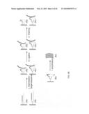 Making nucleic acid sequences in parallel and use diagram and image