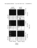 Making nucleic acid sequences in parallel and use diagram and image