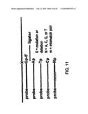 Making nucleic acid sequences in parallel and use diagram and image