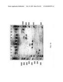 Making nucleic acid sequences in parallel and use diagram and image