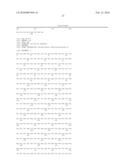 Use of Matrix Metalloproteinases, Mutated and Not Mutated, for the Preparation of Pharmaceutical Compositions, and Mutated Metalloproteinases with Increased Stability diagram and image