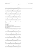 Use of Matrix Metalloproteinases, Mutated and Not Mutated, for the Preparation of Pharmaceutical Compositions, and Mutated Metalloproteinases with Increased Stability diagram and image