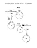 Novel l-Lysine-inducible promoter diagram and image