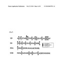 METHOD FOR ISOLATION OF BIOPOLYMER BY USING RE-CIRCULATING CHROMATOGRAPHY diagram and image