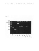 METHOD FOR ISOLATION OF BIOPOLYMER BY USING RE-CIRCULATING CHROMATOGRAPHY diagram and image