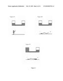 STABLE NANOREPORTERS diagram and image