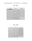 METHODS OF FORMING A LAYER, METHODS OF FORMING A GATE STRUCTURE AND METHODS OF FORMING A CAPACITOR diagram and image